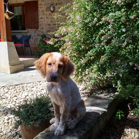 Caserio Arrigorri Excelente Ubicacion Jardin Con Barbacoa 15 Plazas Holiday home Murguia