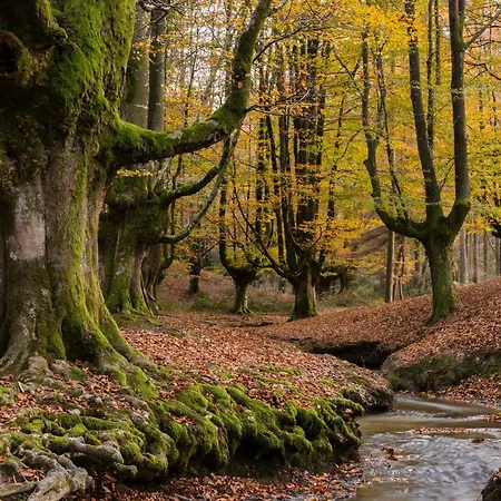 Caserio Arrigorri Familiar Con Jardin Y Vistas Al Gorbea, Alava Дом отдыха *