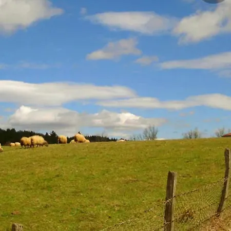 Nyaraló Caserio Arrigorri Excelente Ubicacion Jardin Con Barbacoa 15 Plazas *