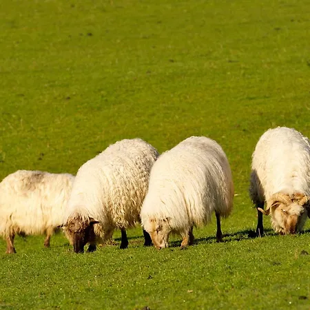 Nyaraló Caserio Arrigorri Familiar Con Jardin Y Vistas Al Gorbea, Alava Murguía