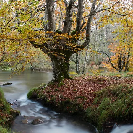 Caserio Arrigorri Familiar Con Jardin Y Vistas Al Gorbea, Alava Дом отдыха Мургуия