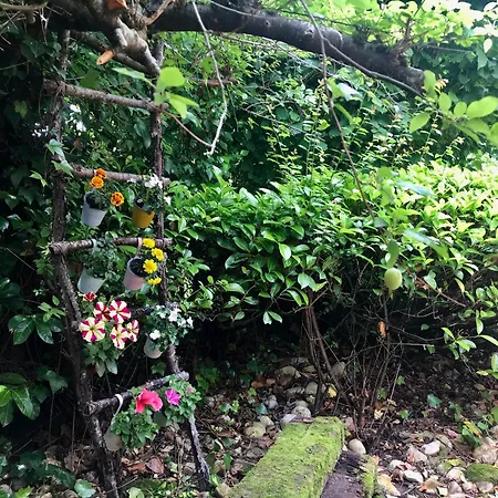 Caserio Arrigorri Excelente Ubicacion Jardin Con Barbacoa 15 Plazas Nyaraló Murguía