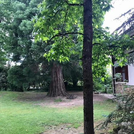 Caserio Arrigorri Excelente Ubicacion Jardin Con Barbacoa 14 Plazas * Murguia