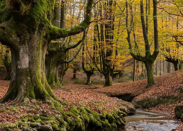 Caserio Arrigorri Excelente Ubicación Jardín Con Bbq Perfecto Grupos Сasa de vacaciones *