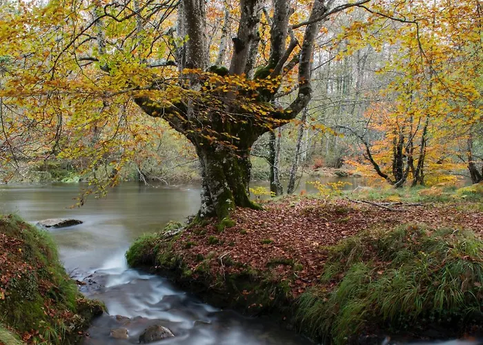 Caserio Arrigorri Excelente Ubicación Jardín Con Bbq Perfecto Grupos Сasa de vacaciones Murguía