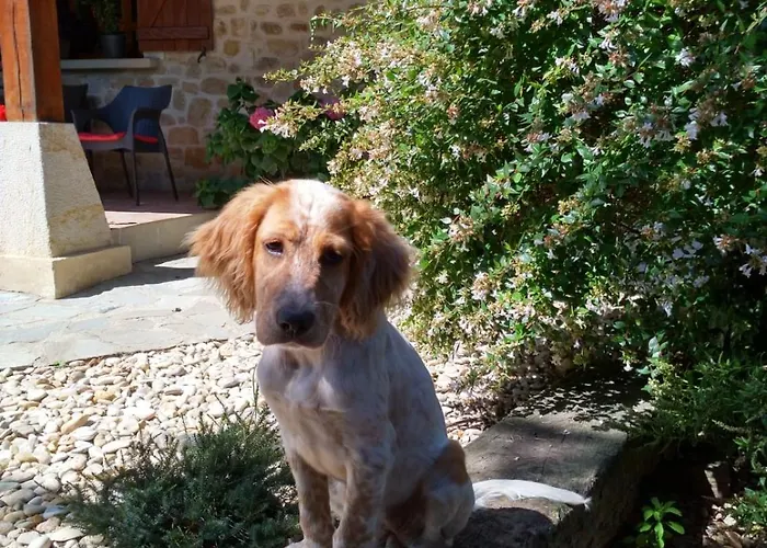 Caserio Arrigorri Excelente Ubicación Jardín Con Bbq Perfecto Grupos Сasa de vacaciones Murguía